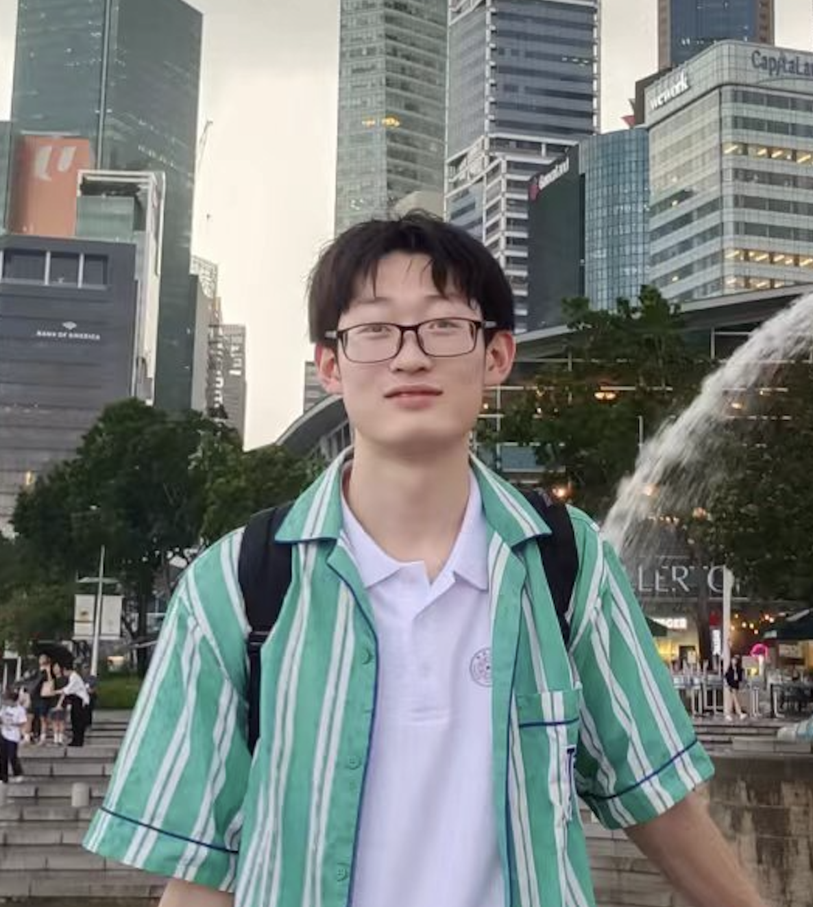 Undergraduate Student